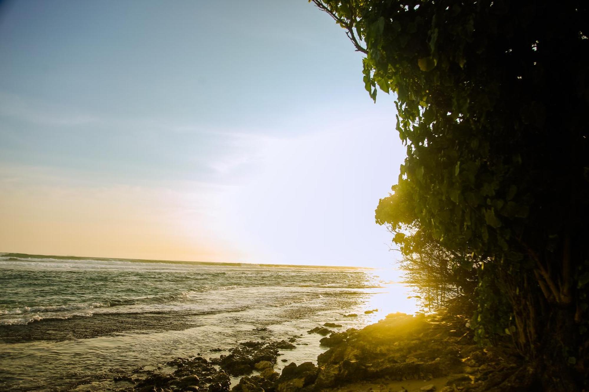 Mirissa Turtle Point Guest Hotel ภายนอก รูปภาพ