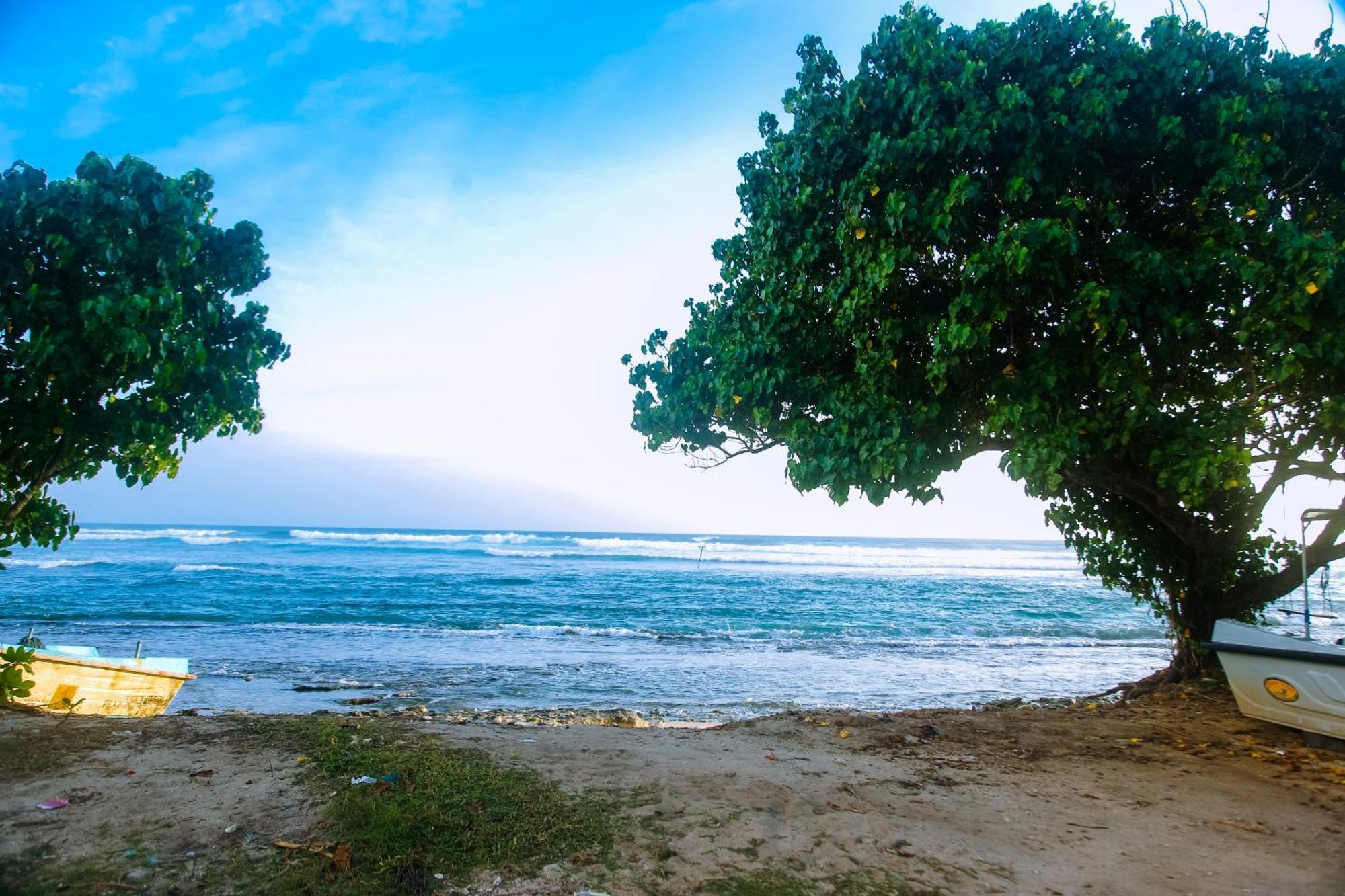 Mirissa Turtle Point Guest Hotel ภายนอก รูปภาพ
