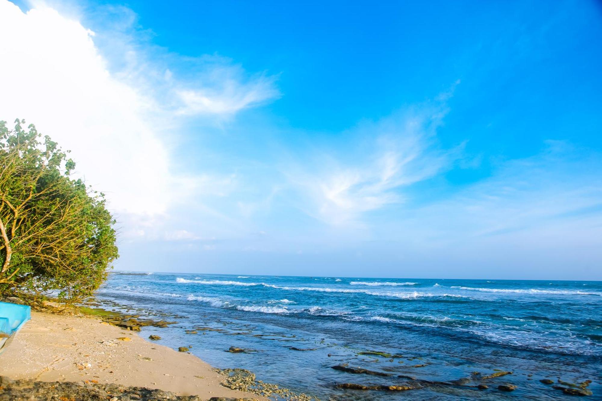 Mirissa Turtle Point Guest Hotel ภายนอก รูปภาพ